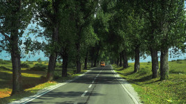 alej auto street-1643511 1280